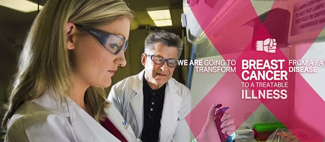 Fighting Fire with Fire: how our immune systems can help fight breast cancer (Blog post)